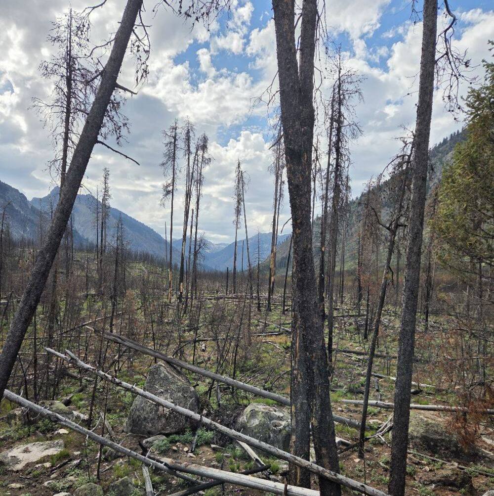 Meet your Posher, Emeline